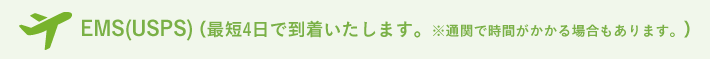 EMS(USPS)（最短4日で到着いたします。※通関で時間がかかる場合もあります。）